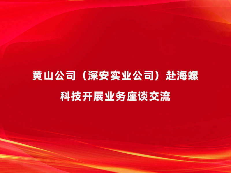 黄山公司（深安实业公司）赴海螺科技开...