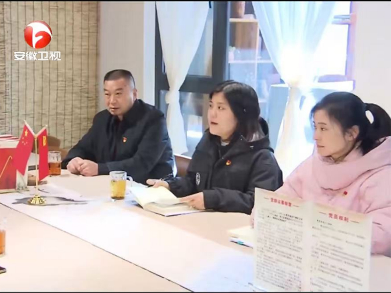 合肥三孝口街道办事处向深安实业公司发...