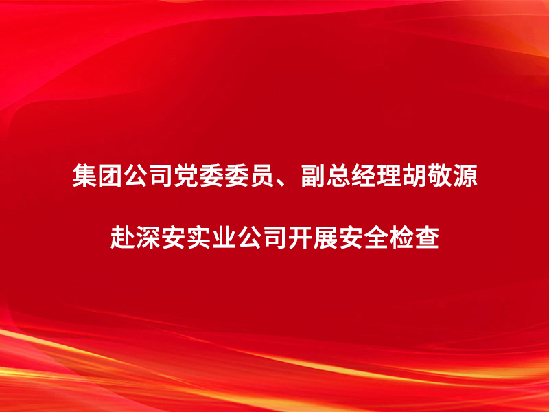 集团公司党委委员、副总经理胡敬源赴深...