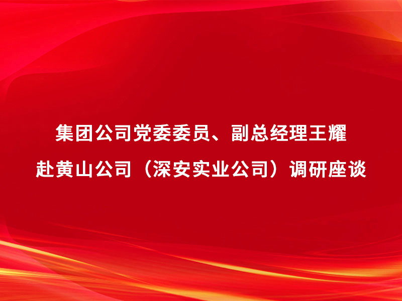 集团公司党委委员、副总经理王耀赴黄山...