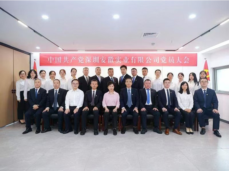 中国共产党深圳安徽实业有限公司党员大...